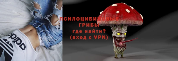 дурь Арсеньев