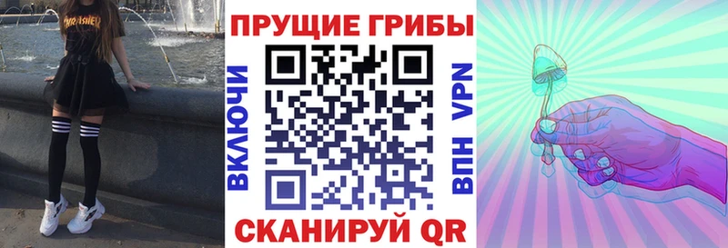 Псилоцибиновые грибы MAGIC MUSHROOMS  МЕГА онион  Малоярославец 
